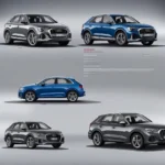 Audi Q3 als Alternative zum BMW X1