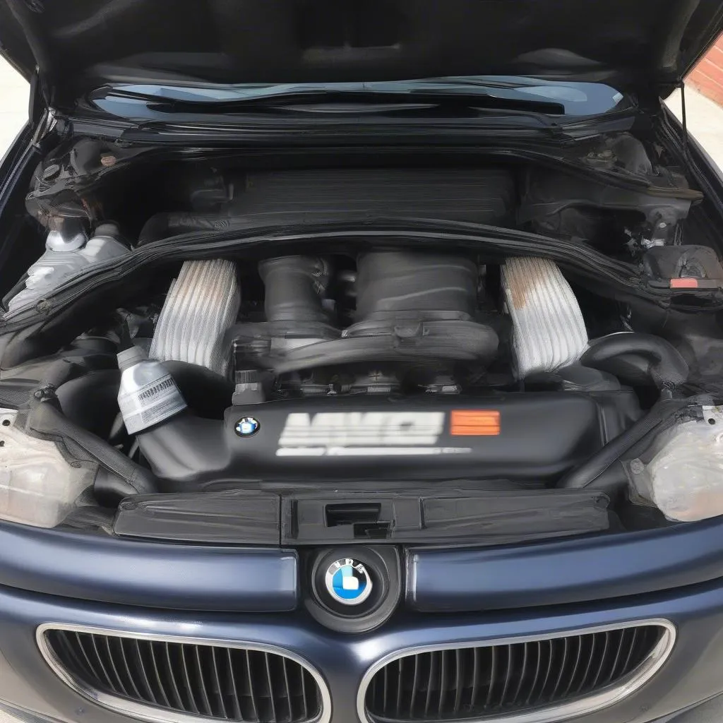 BMW E46 ইঞ্জিন অংশের পরিষ্করণ