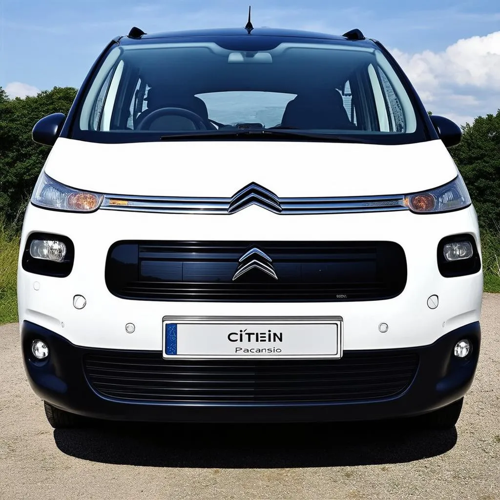 Citroën Picasso Motor