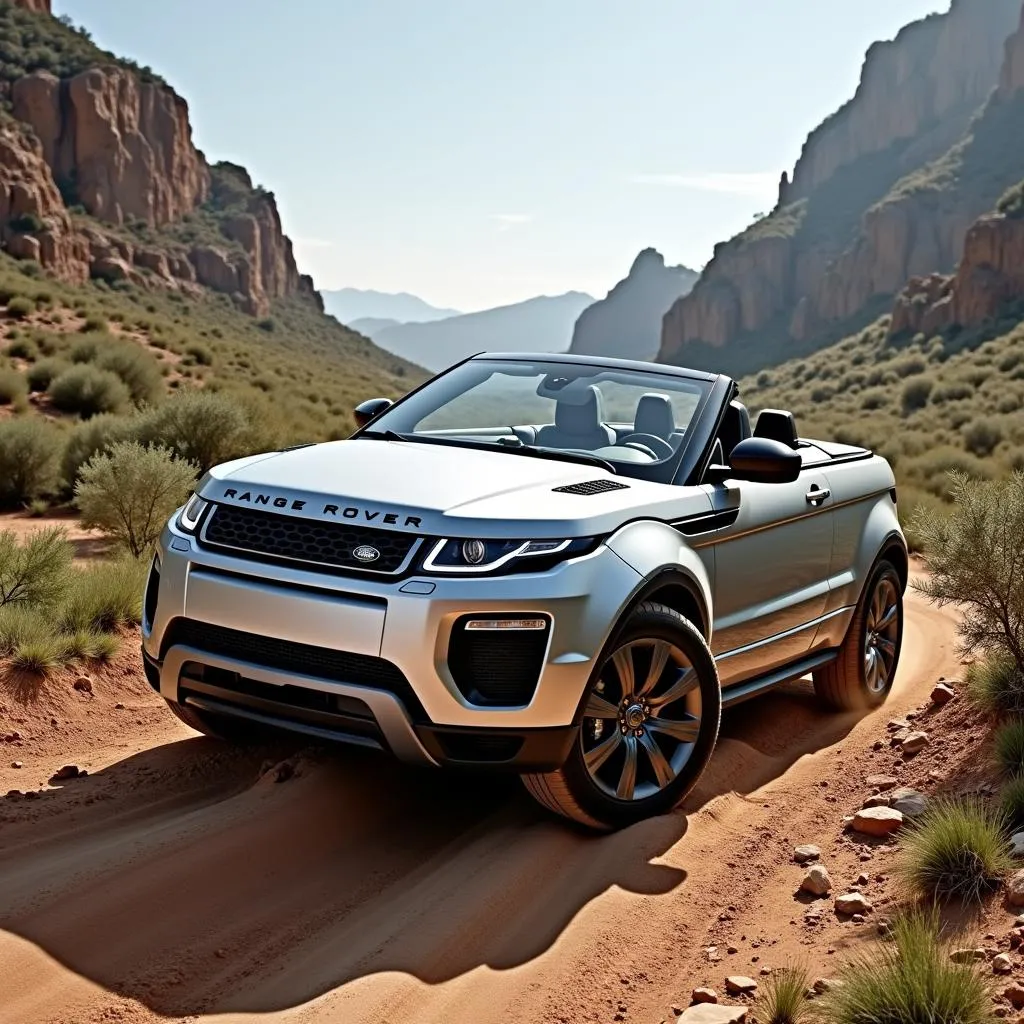 Range Rover Evoque Cabrio im Gelände