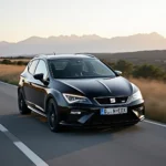 Seat Leon Cupra in Schwarz auf der Straße