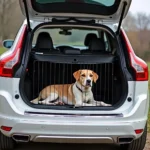 Volvo XC60 Hundegitter Sicherheit