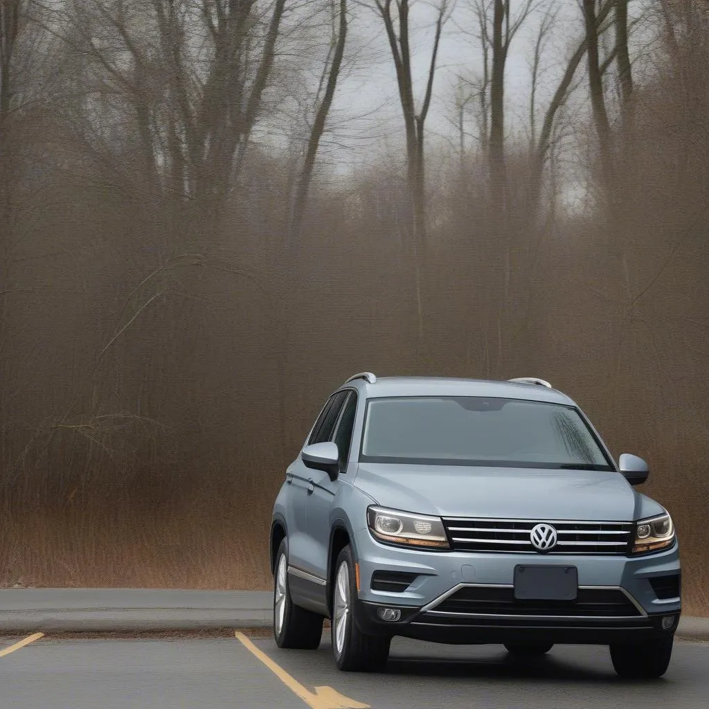 VW Tiguan mit Reifenpanne