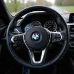 3er BMW Lenkrad Sport