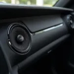 Bang & Olufsen Auto Lautsprecher