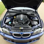 BMW 318i 2003 Motorraum