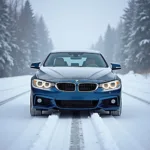 BMW Traktionskontrolle im Schnee