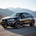 BMW X6 mit sportlichen Felgen