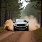 Cupra Ateca Allrad im Gelände