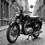 Klassisches Design der DKW 250 RT 2