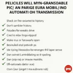 Checkliste für den Kauf eines gebrauchten Eura Mobil mit Automatikgetriebe