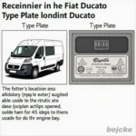 Fiat Ducato Typenschild finden