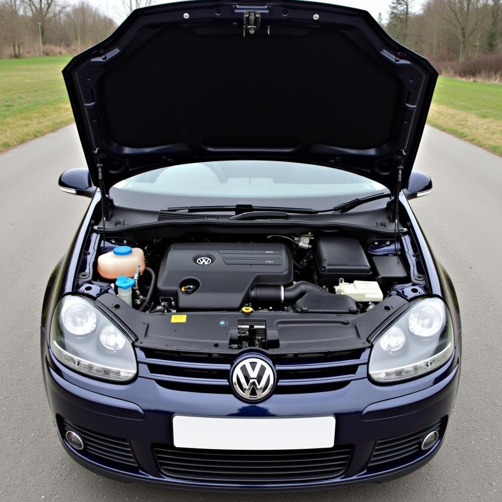 Golf 06 Motorraum