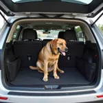 Guardsman Hundegitter im Auto