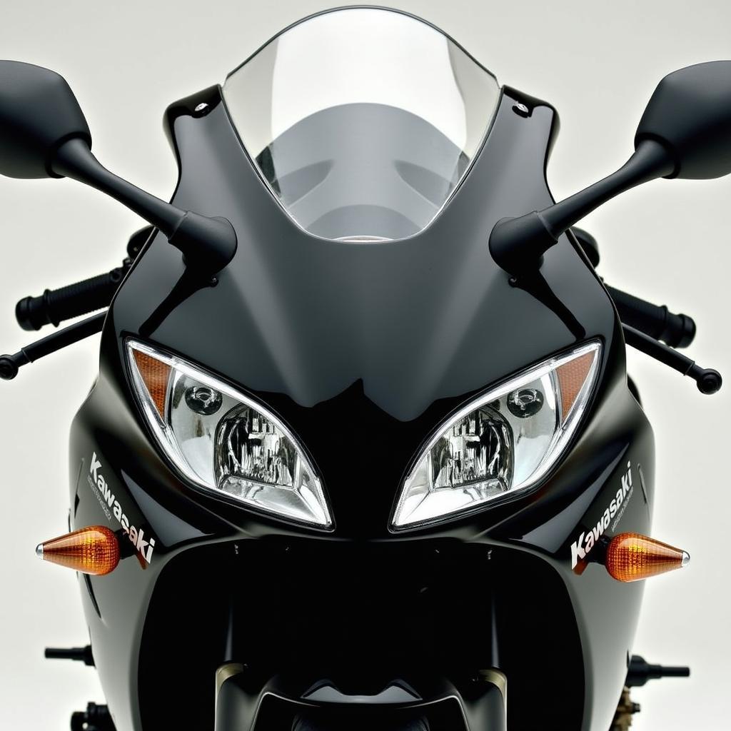 Kawasaki ZX6R 2008 Design