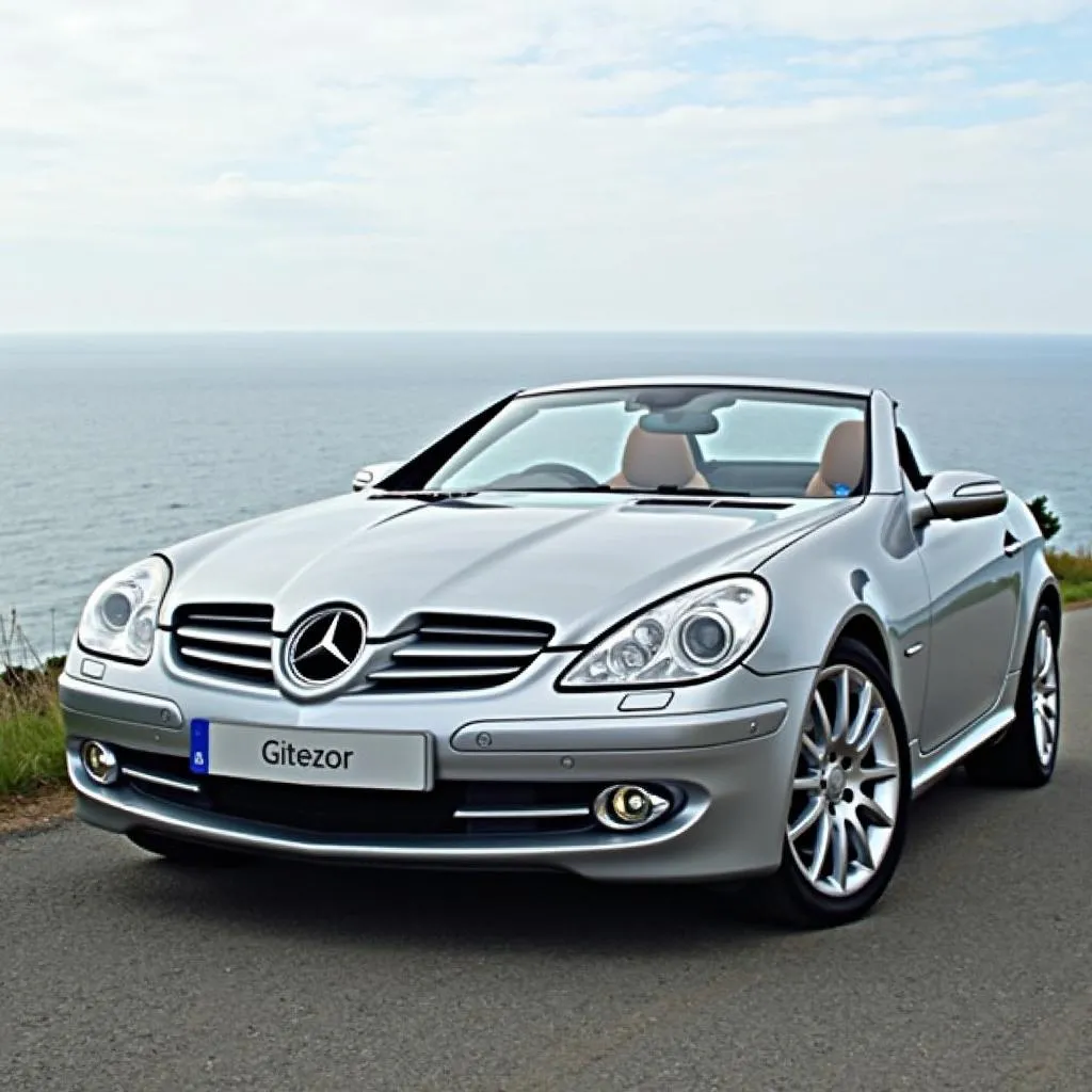 Mercedes SLK Cabrio 2005 Design