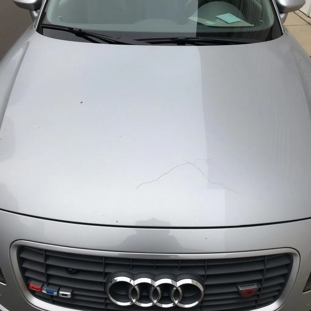 Cofano danneggiato di un'Audi TT 8J