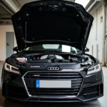 Offene Motorhaube eines Audi TT 8J