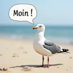 Norddeutscher Humor Bilder: Lachmöwe an der Ostsee