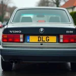 Nummernschild DLG am Auto