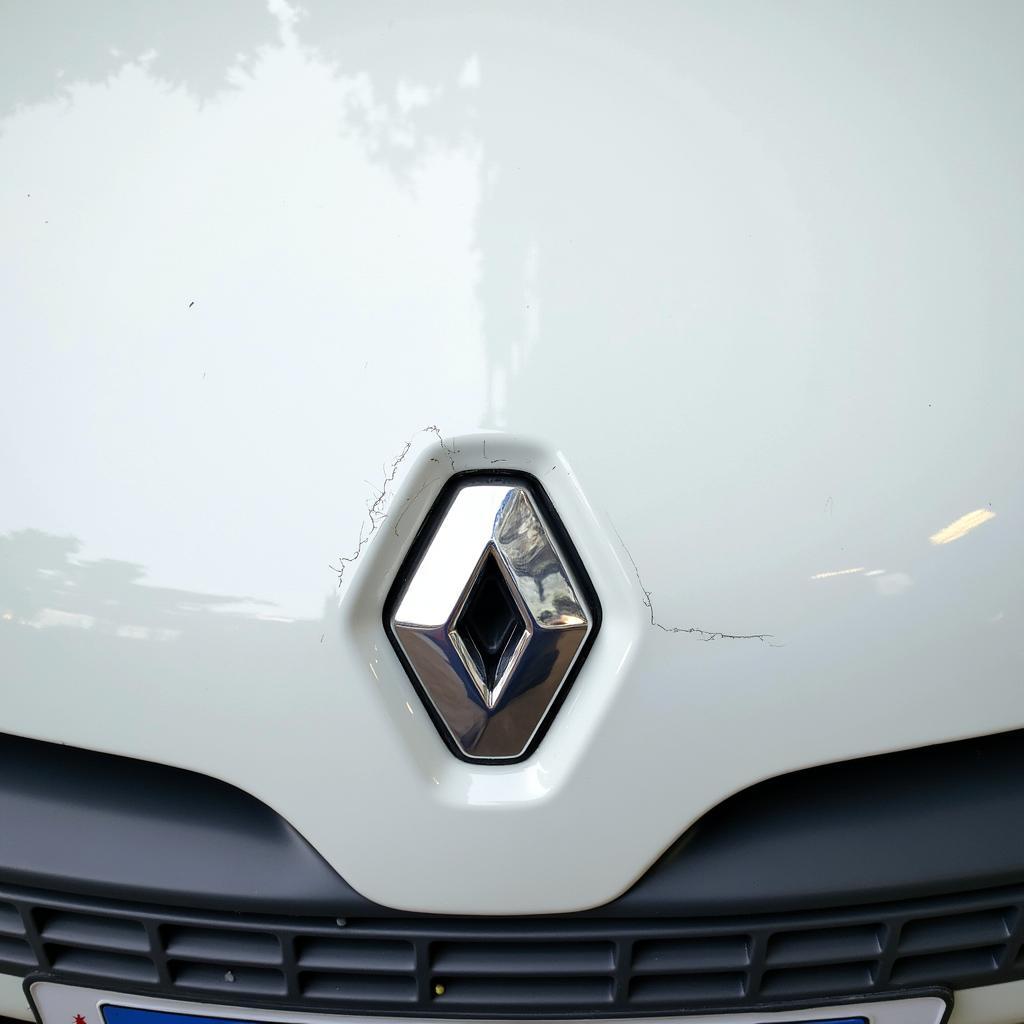 Renault Weiß Lackierung