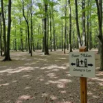 Schild Wanderparkplatz im Wald