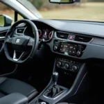 Seat Ateca Reference Ausstattung