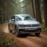 Tiguan 4Motion im Gelände