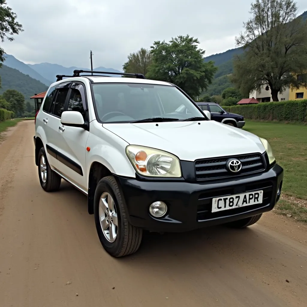 Toyota RAV4 2006 Terawat