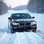 Winterreifen auf einem BMW 5er im Schnee