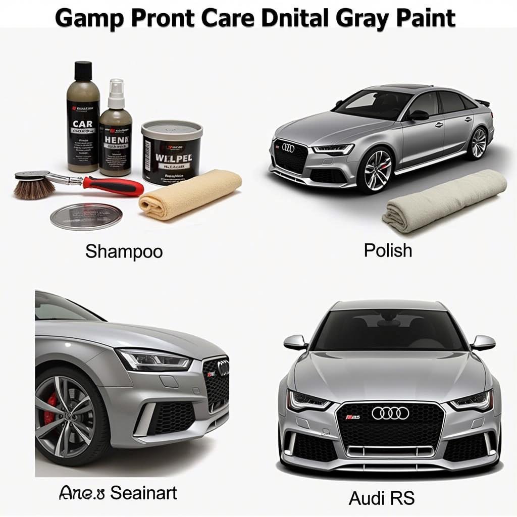 Audi RS Grau Pflege Tipps