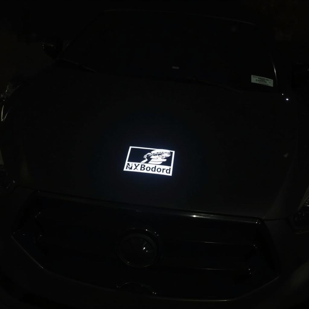 Beleuchtetes Autologo in der Nacht