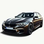 BMW E61 Touring M5 Außenansicht