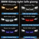 BMW Kühlergrill Beleuchtung Tuning Optionen