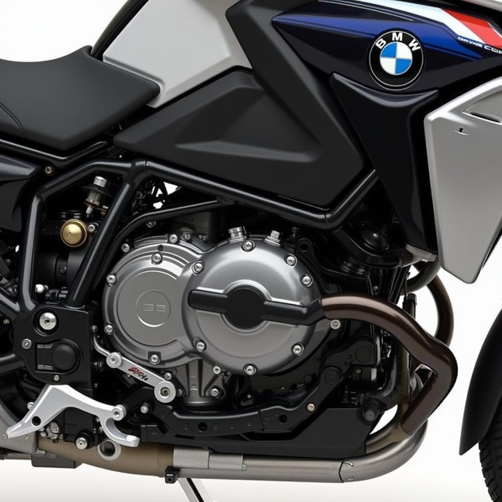 BMW R 1250 GS 2021 Motor