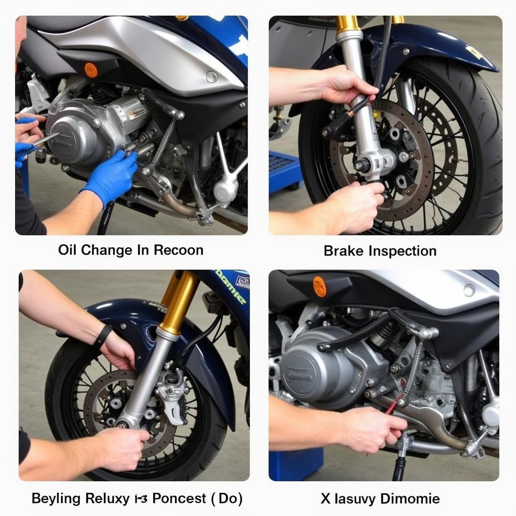 Wartung und Reparatur der BMW R 850 R