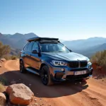 BMW X5 in Offroad-Landschaft