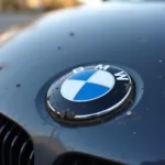 Probleme mit dem BMW Zeichen