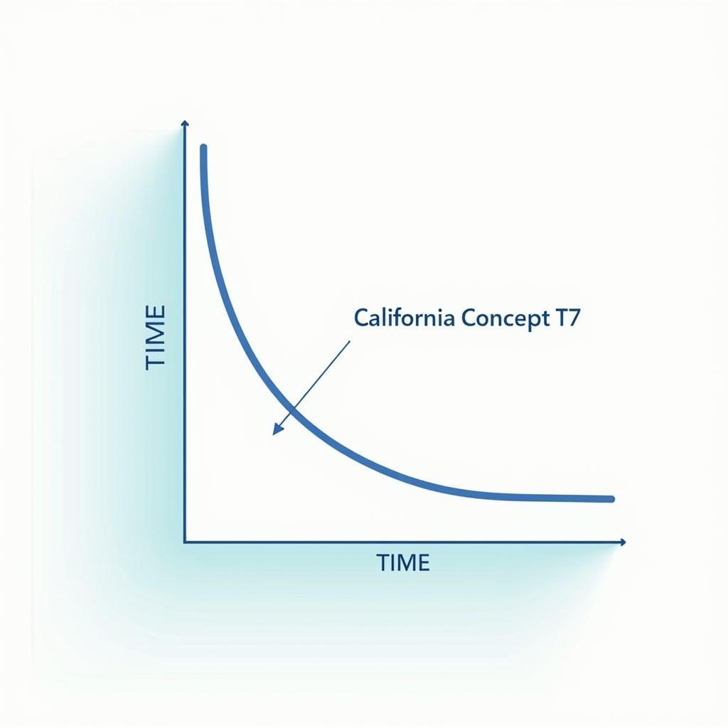 California Concept T7 Zeit- und Kosteneinsparung