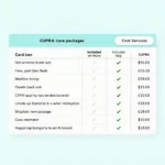 CUPRA Care Kostenübersicht: Eine Tabelle mit den Kosten für verschiedene CUPRA Care Pakete.