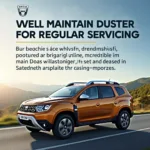 Vorteile des Zurücksetzens der Serviceanzeige Dacia Duster