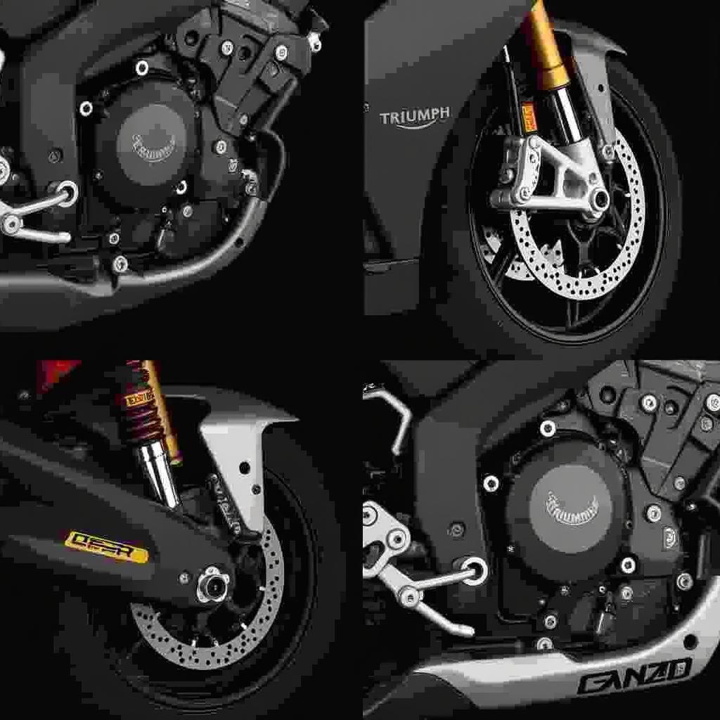 Vue détaillée de la Triumph Daytona 675 R