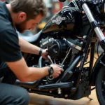 Wartung und Reparatur einer FLSTC Harley Davidson