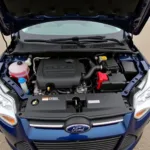 Ford Focus Motorraum Diagnose