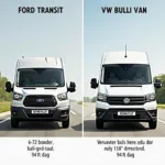 Ford VW Bus Vergleich: Transit vs. Bulli