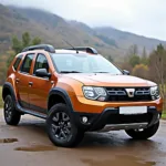 Gebrauchter Dacia Duster: Außenansicht