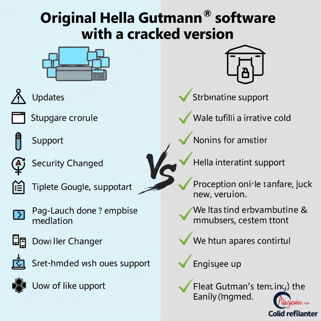 Original Hella Gutmann Software vs. Crack