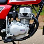 Honda CY 50 Motor Detailansicht