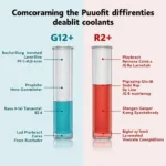 Vergleich von G12+ und R12+ Kühlmittel