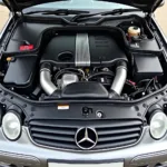 Mercedes Benz CLK 1999 Motorraum: Detaillierte Ansicht des Motorraums eines Mercedes Benz CLK 1999.